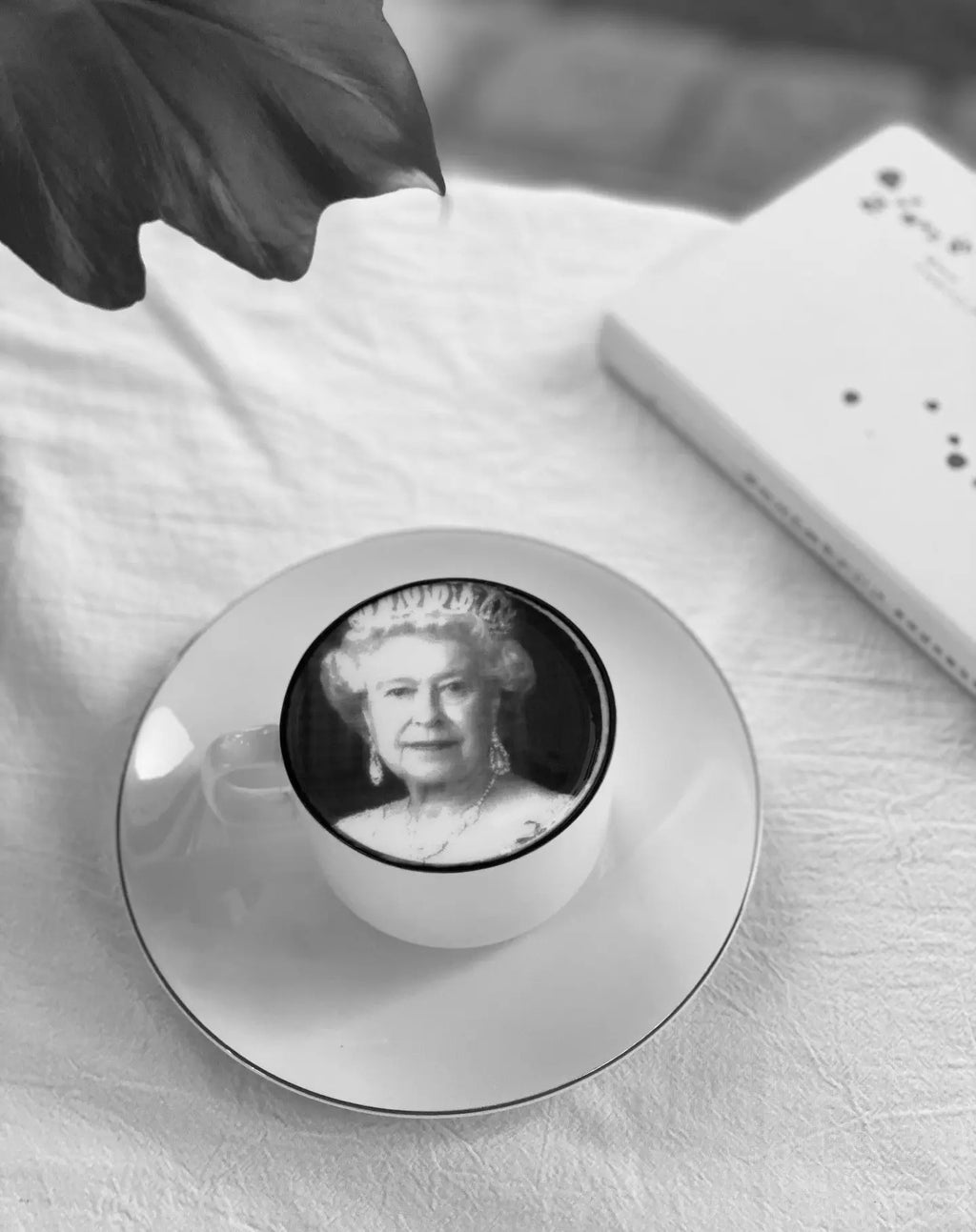 [vendor] Evebot Fantasia FM1 Mini Latte Art Printer Mini Latte Art Printer [variant_title]